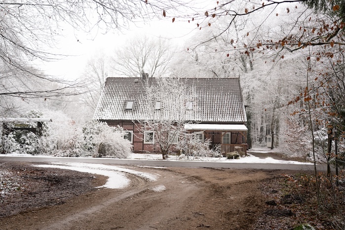 Die Gleasir auf dem Isländerhof